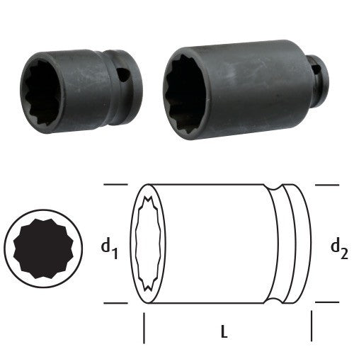 LN12Y12